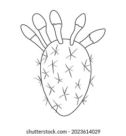 Cactus vector icon.Outline vector icon isolated on white background cactus .