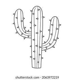 Cactus vector icon.Outline vector icon isolated on white background cactus .