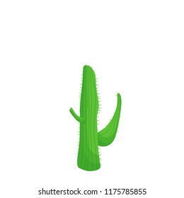 cactus vector illustration