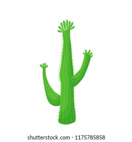 cactus vector illustration