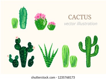 Cactus vector illustration