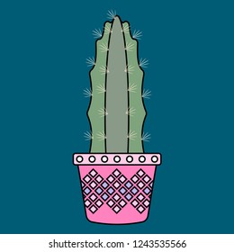 Cactus vector illustration