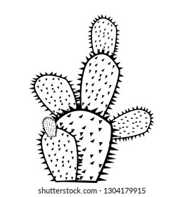 cactus vector illustration