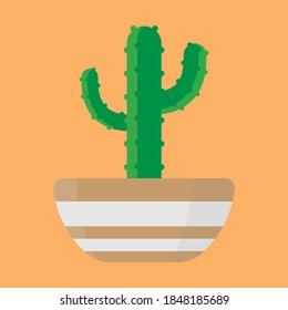 cactus vector illustration - cactus vector art - flat cactus vector