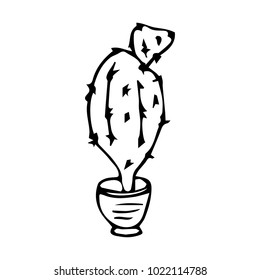 Cactus vector illustration. Doodle style. Design, print, decor, textile, paper