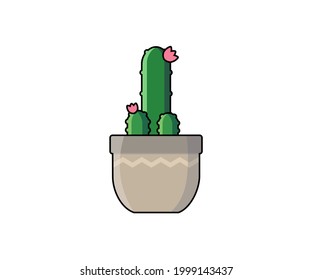 Cactus vector illustration in form of phallus. Haageocereus succulent icon or object for design