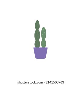 Cactus vector illustration green colors