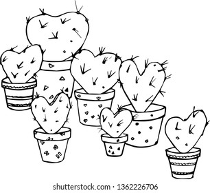 Cactus vector illustration. Hand drown cactus.