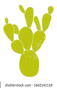 Cactus vector illustration. Isolated green cactus on a white background. Hand-drawn illustration of a cactus. Wild exotic tropical plant.