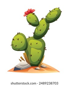Cactus vector illustration isolated on white