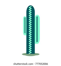 Cactus. Vector illustration on white background. 