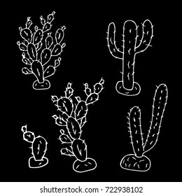 Cactus vector illustration. Plants. Doodle style. Design icon, print, logo, poster, symbol, decor, textile, paper