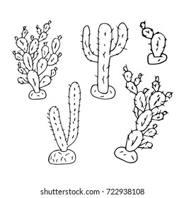 Cactus vector illustration. Plants. Doodle style. Design icon, print, logo, poster, symbol, decor, textile, paper