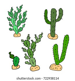 Cactus vector illustration. Plants. Doodle style. Design icon, print, logo, poster, symbol, decor, textile, paper