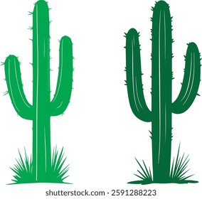 Cactus Vector Illustration, Two Green Cacti on White Background