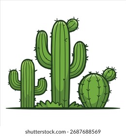Cactus vector illustration with various green cactus set.