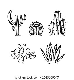 Cactus Vector Illustrations Hand Drawn Outline Stock Vector (Royalty ...