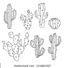 Cactus Vector Illustrations. Hand Drawn Outline Cactus Set.