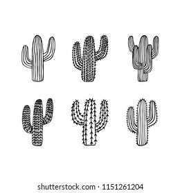 Cactus vector illustrations. Hand drawn cactus set. Cactus collection. Sketchy style illustration.