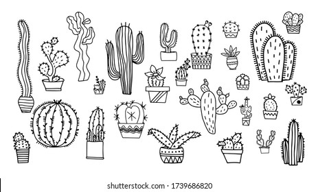 Cactus vector illustrations. Hand drawn outline cactus set. Cactus plants nature elements
