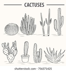 Cactus vector illustrations. Hand drawn outline cactus set. Cactus plants nature elements vector