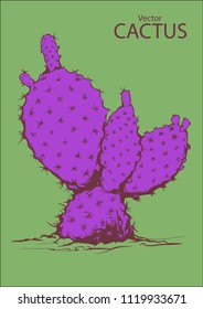 Cactus vector ink sketch