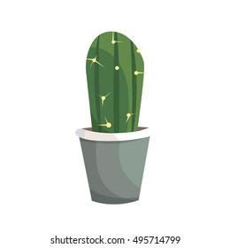 Cactus vector isolated home plant 