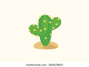 Cactus vector isolated illustration icon