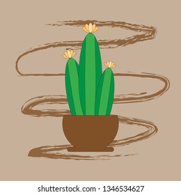 Cactus vector isolated on white. Colorful vector of cactus. Cactus background. Cactus icon.