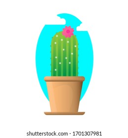 cactus vector on isolated background