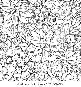 Cactus vector pattern. White and black illustration. Seamless surface pattern design trendy succulents