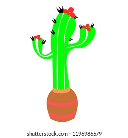 cactus, vector, plant, illustration