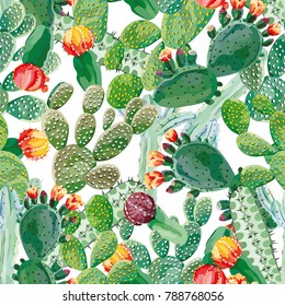 Cactus vector seamless pattern white background. Exotic wallpaper
