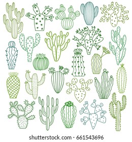 Cactus vector set. Cacti doodle illustration