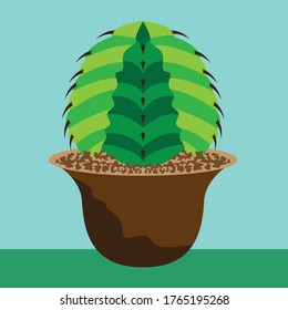 Vector de cactus usado para hacer pegatinas y logotipos. colección vectorial