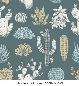 Cactus vintage seamless pattern. Sketchy style illustration. Succulent collection. Vector illustration
