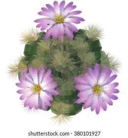 Cactus with violet flowers. Vector illustration in low poly style