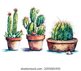 Cactus watercolor, cacti plant hand drawn, Vector illustration isolated on white background 