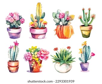 Cactus watercolor, cacti plant hand drawn, Vector illustration isolated on white background 