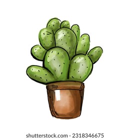 Cactus watercolor, cacti plant hand drawn, Vector illustration isolated on white background