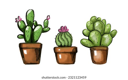 Cactus watercolor, cacti plant hand drawn, Vector illustration isolated on white background