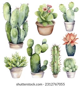 Cactus Watercolor Illustration.Succulent and Cacti Prints Elements