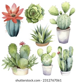 Cactus Watercolor Illustration.Succulent and Cacti Prints Elements