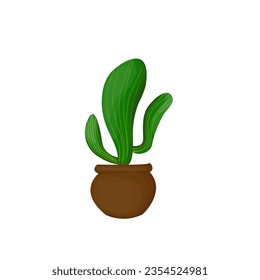 Cactus wih tree leaves in a pot