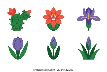 Pacote de cactos e flores silvestres, flores vermelhas do deserto, botões de tulipa, pétalas de íris, conjunto de vetores botânicos para convites de casamento boho, decoração sudoeste