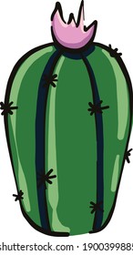 Cactus without a pot, illustration, vector on a white background.