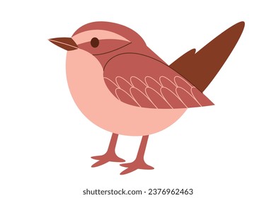 Cactus wren bird from Arizona united states small wild brown vector drawing illustration 