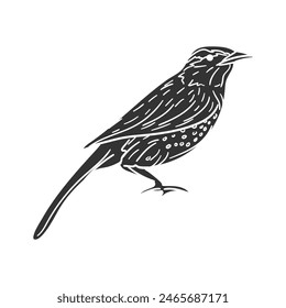 Cactus Wren Icon Silhouette Illustration. Bird Vector Graphic Pictogram Symbol Clip Art. Doodle Sketch Black Sign.