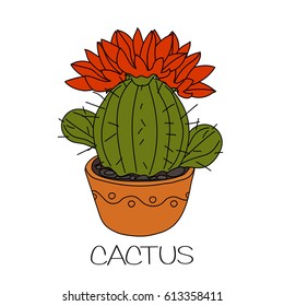 Cactus with yellow flower in brown flower pot.