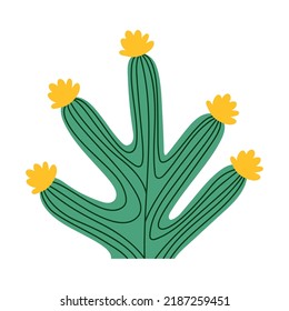cactus with yellow flowers over white